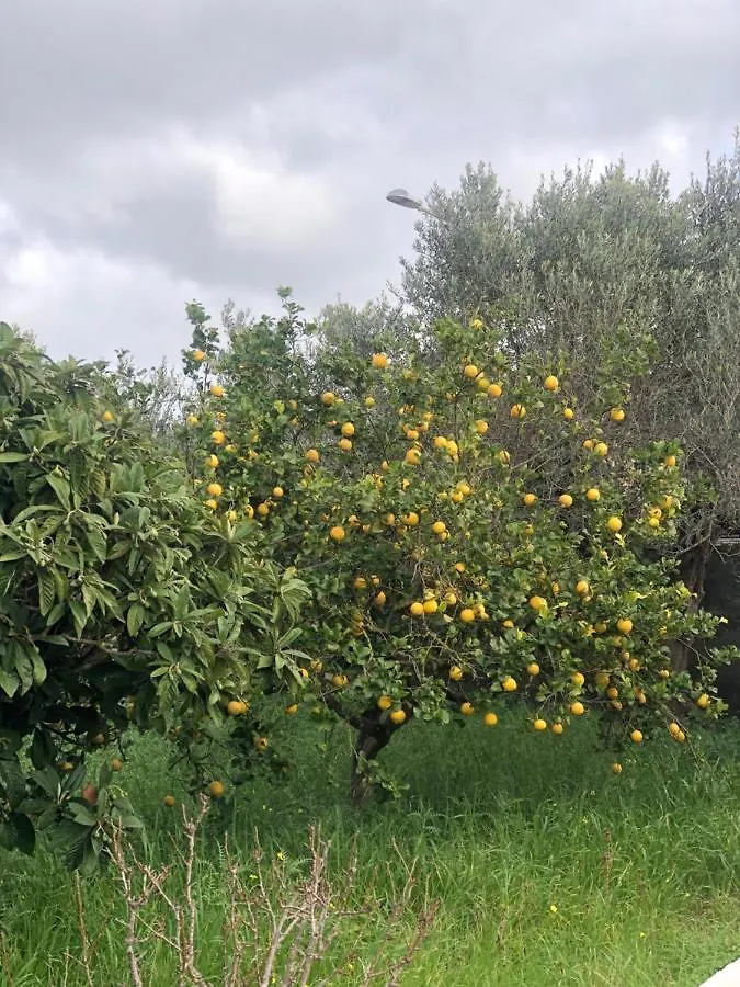 Holiday home Villino Franca E Giacomo Villa Guarrato
