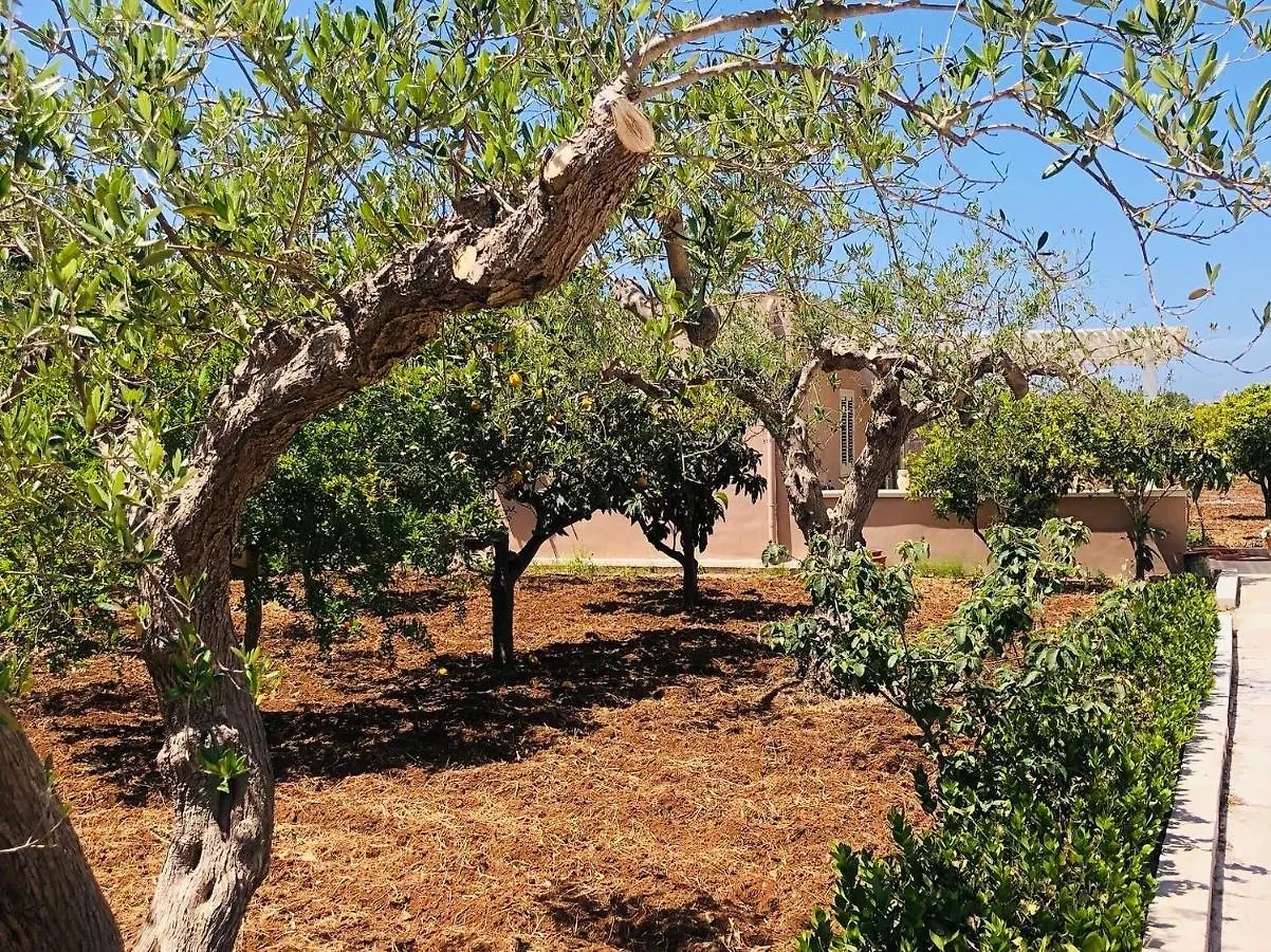 Villino Franca E Giacomo Villa Guarrato Italy